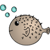 Pufferfish