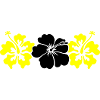 Hibiscus Flowers