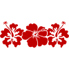 Hibiscus Flowers