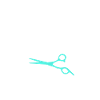 Dog groomer