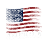 Welcome to America