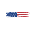 Welcome to America