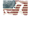 Robot Robotics Engineer American