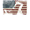Robot Robotics Engineer American