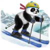 Panda Ski Painting