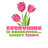 Tulips Funny tulips