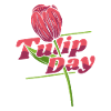 Tulipes Drôles de tulipes