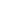 Bonsai Tree