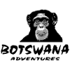 Botswana - Chimpanzee - Monkey