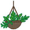 Plante d’intérieur