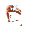 Flamingo Geschenk