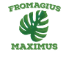 Monstera plant Fromagius Maximus