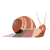 Slimy snail