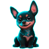 Kelpie australien chiot néon