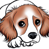Chien