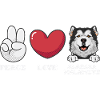 Chien Malamute d’Alaska