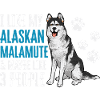 Alaskan Malamute Dog