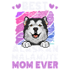 Chien Malamute d’Alaska
