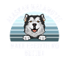 Alaskan Malamute Dog