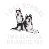 Alaskan Malamute Dog