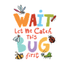 Insect Design