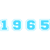 1965 Year Number