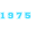 1975 Year Number