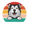 Alaskan Malamute Dog