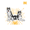 Alaskan Malamute Dog