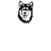 Alaskan Malamute Dog