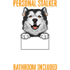 Alaskan Malamute Hund