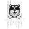 Alaskan Malamute Dog