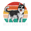 Chien Malamute d’Alaska