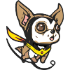 Maximus le chiwawa