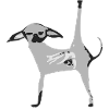 Cosmo the Grey Chiwawa