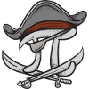 pi rates pirates