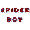 SPIDER BOY