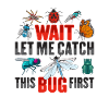 Insect Design