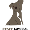 Staff Lovers Dog