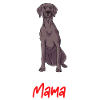 Weimaraner
