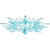 2007