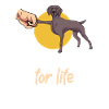Weimaraner