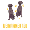 Weimaraner