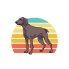 Weimaraner