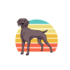Weimaraner