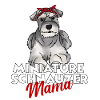 Zwergschnauzer