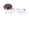 Weimaraner