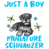 Zwergschnauzer