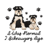 Zwergschnauzer