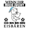 Eisbär Polarbär Bär